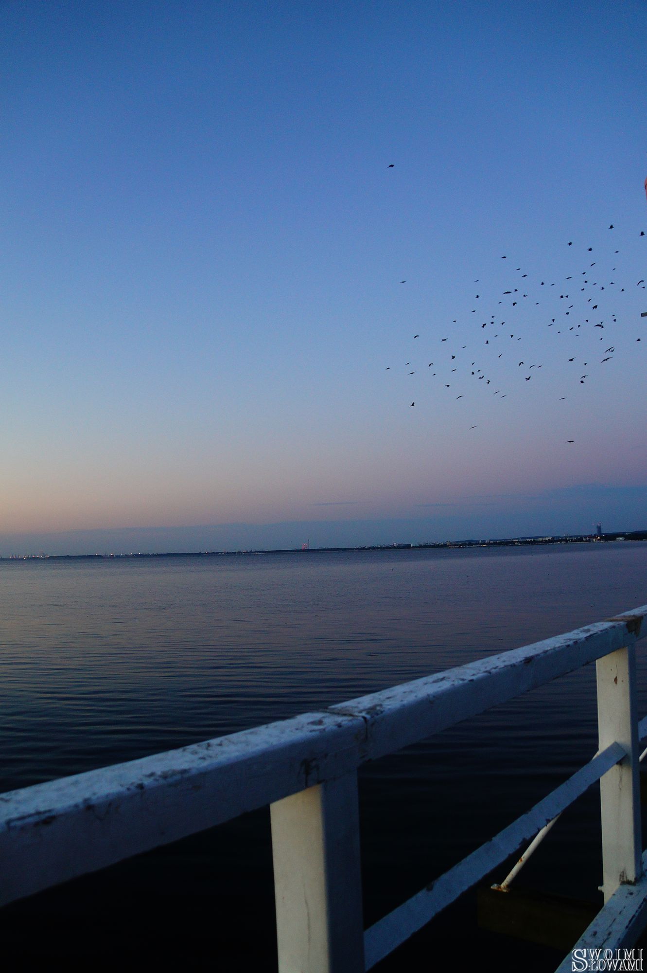 Sopot 43.jpg
